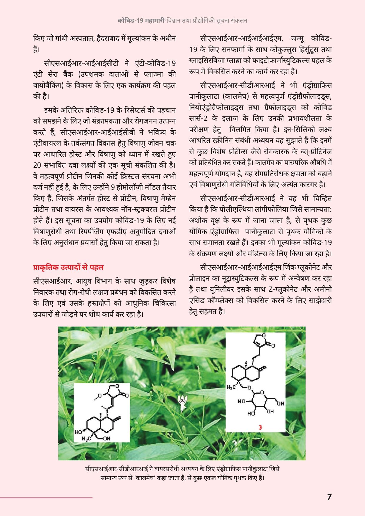hindicompendium-page-10